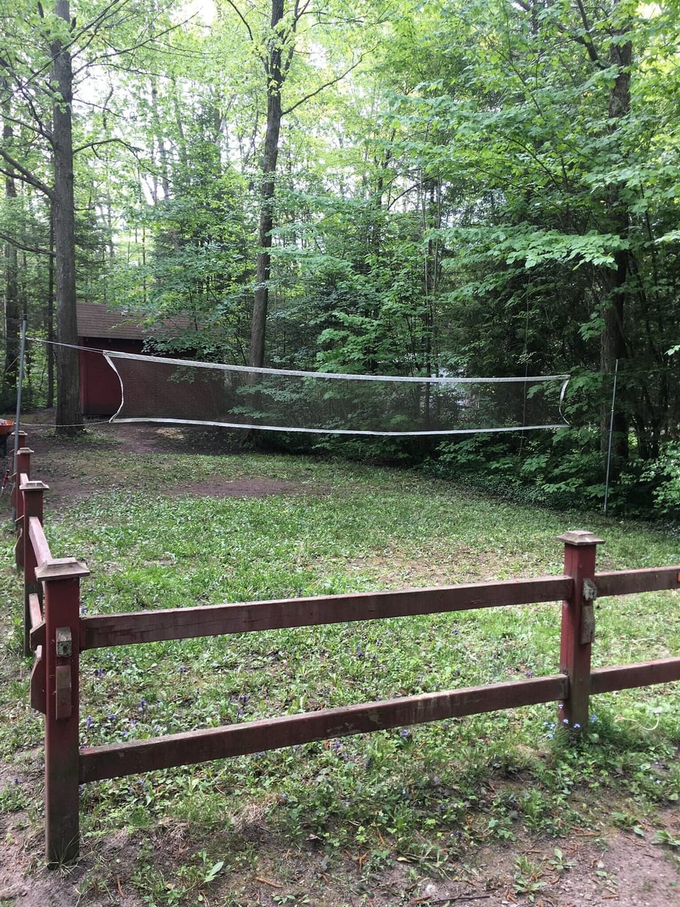 Badminton net