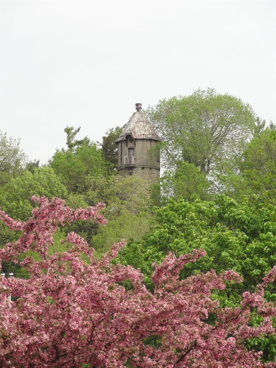View from our front yard of Plummer House tower.