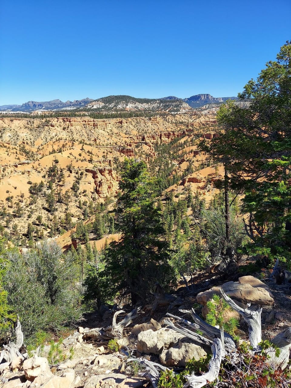 Surrounding Adventure