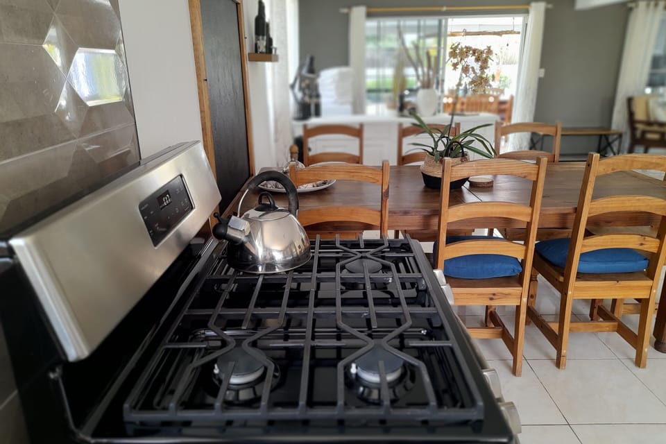 Gas stove