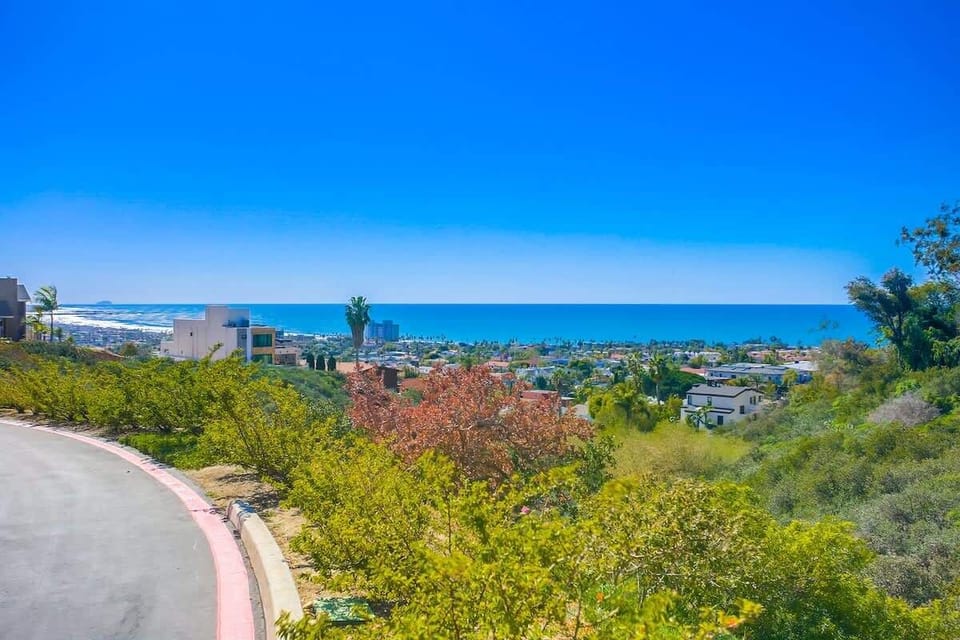 View from the driveway