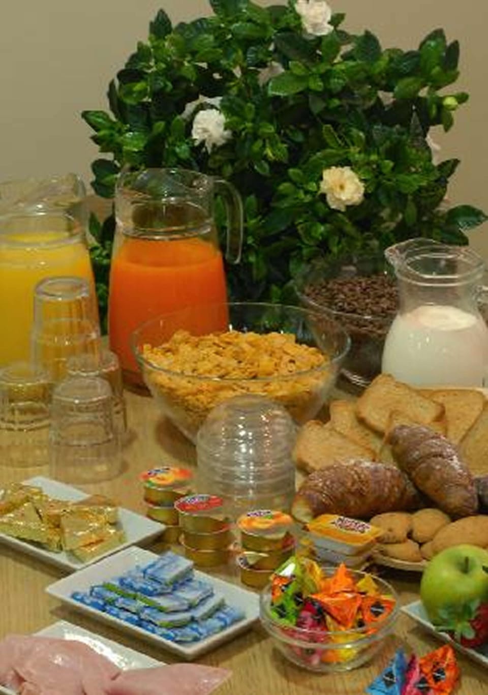 Daily buffet breakfast for a fee