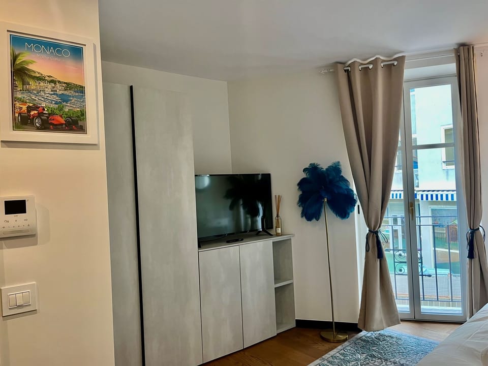 TV