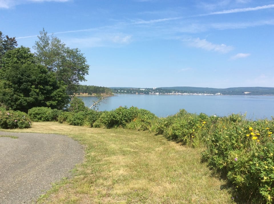 View from property