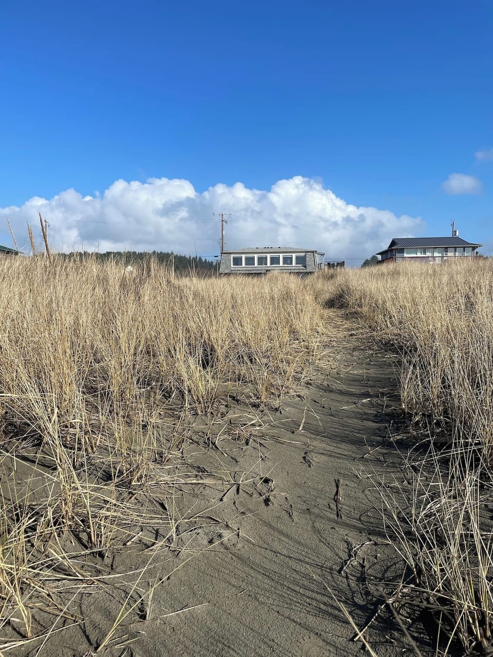 Private path to the beach.