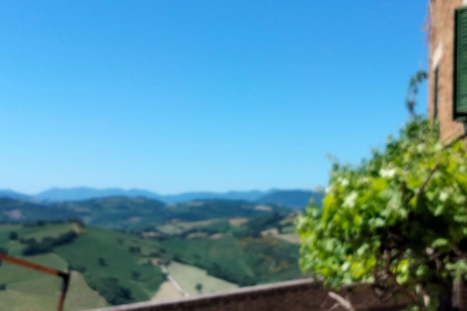 View from Holiday Home [summer]
