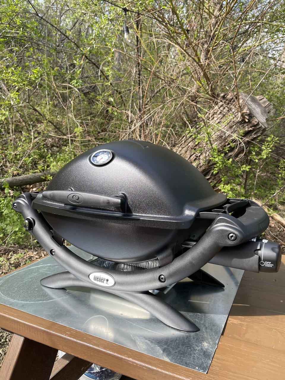 Webber gas grill with propane.