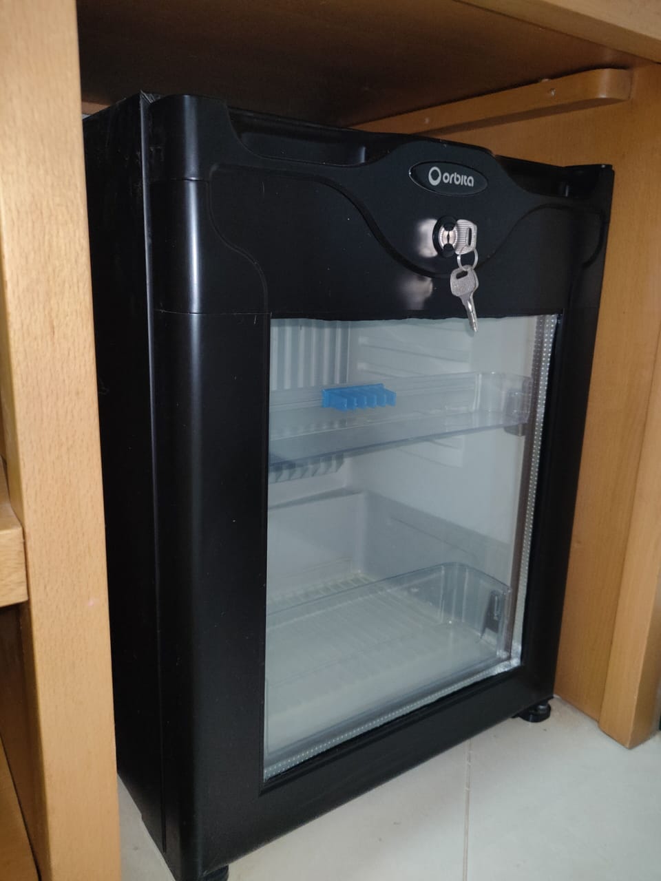 Mini-refrigerator