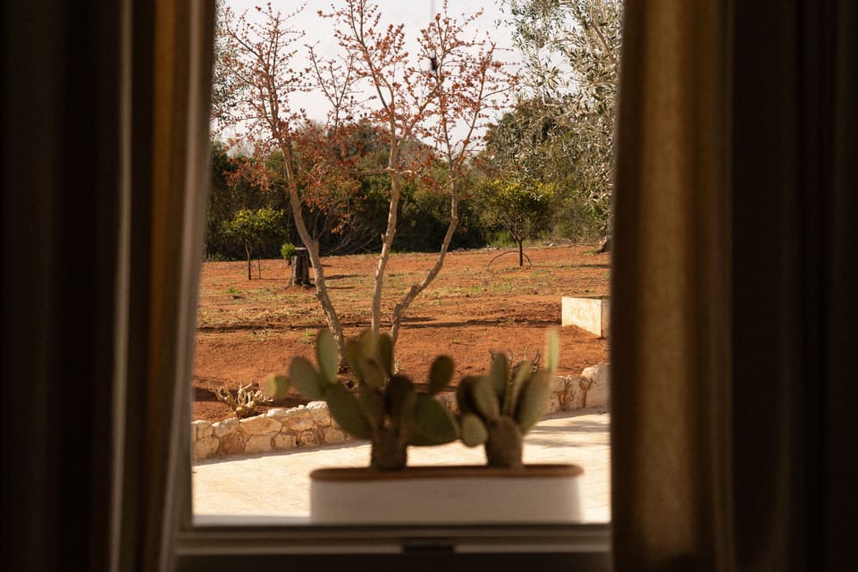 Land view from property