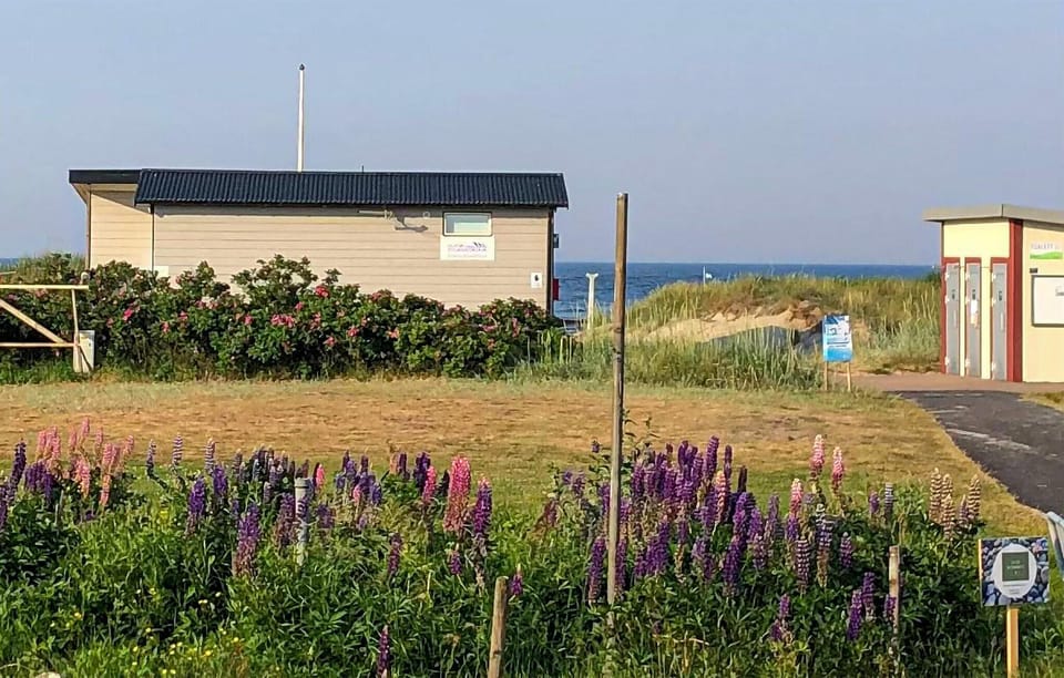 view-from-room