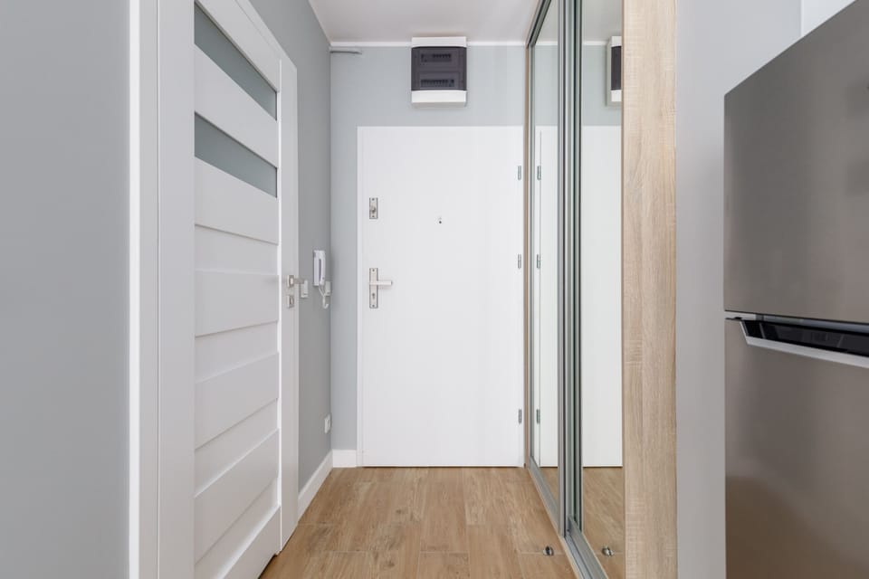 A bright entry hallway with modern doors, leading to the main living spaces of the apartment.
