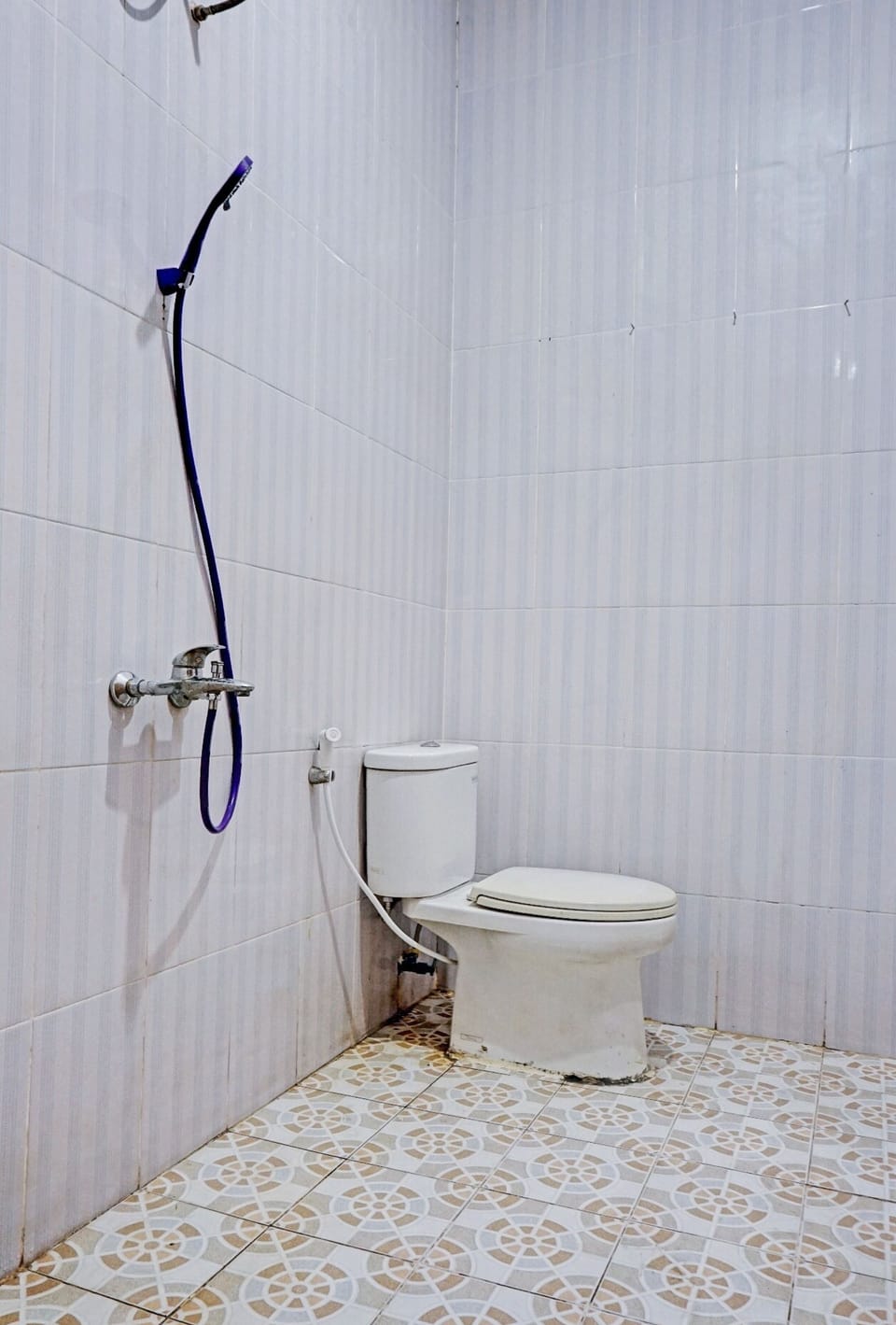 Shower, towels, toilet paper