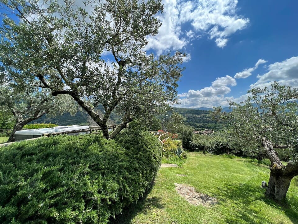 Garden and outdoor view