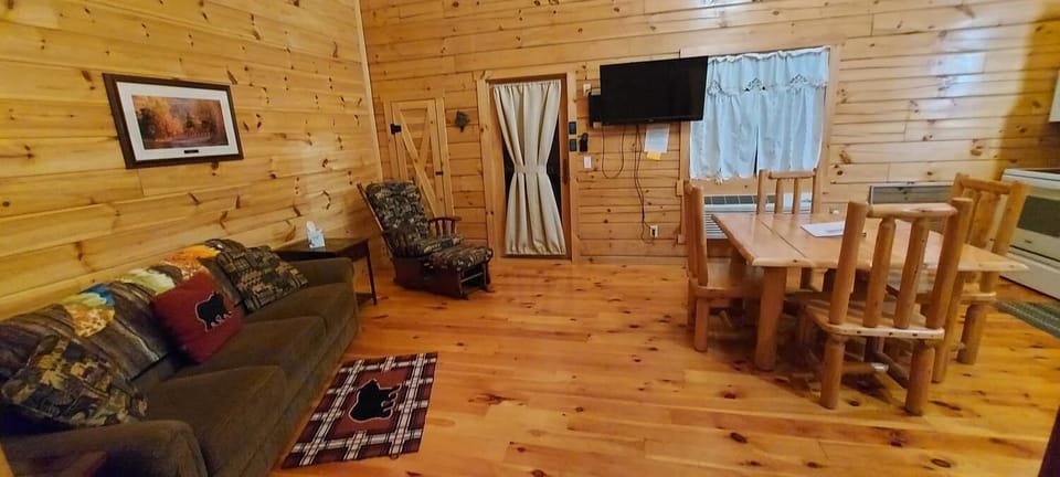 Nice living area with queen size sleeper sofa