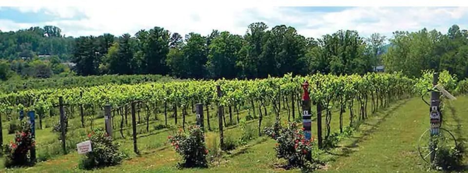 Saint Paul Vineyards less than 15 minutes from the cottage