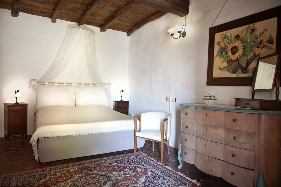 Deluxe Room | Premium bedding, down comforters, in-room safe, individually furnished