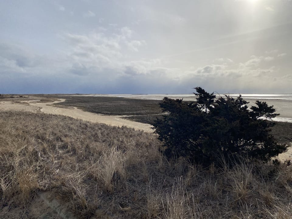 Path to light house beach