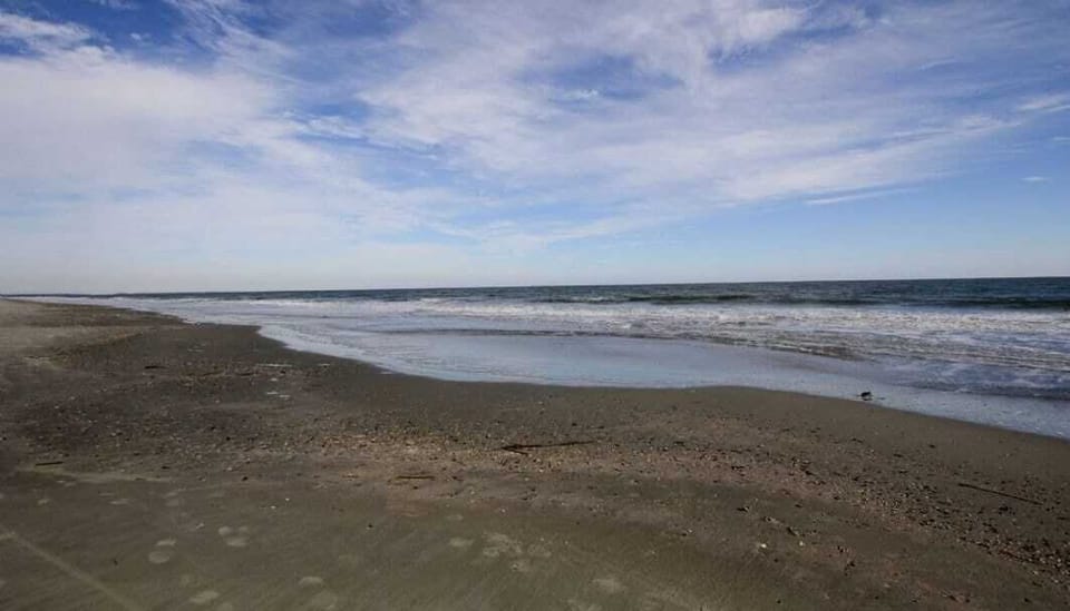 308 Summerhouse by Avantstay Oceanview Condo w/ Community Pool Access Apartment in Wild Dunes