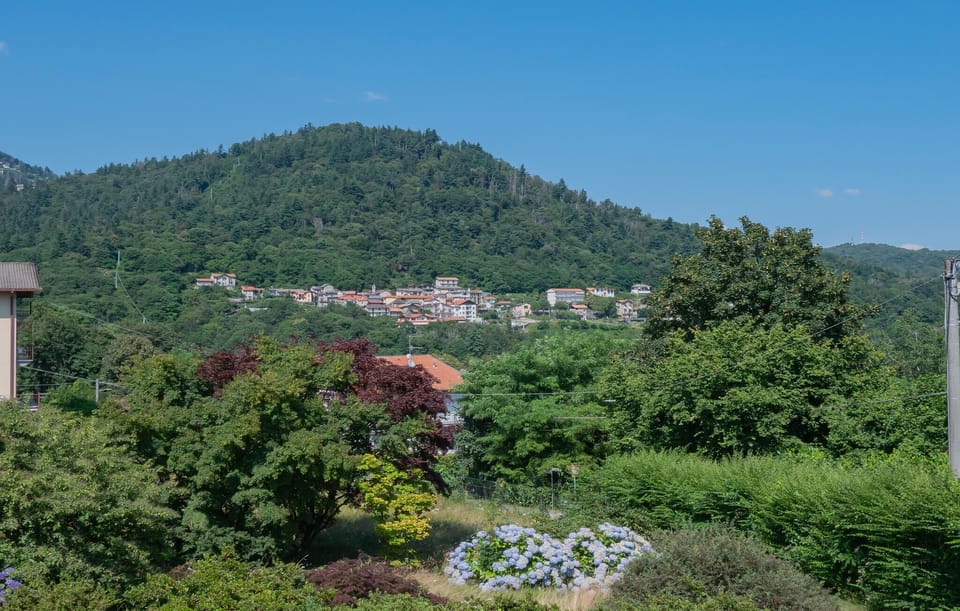 area