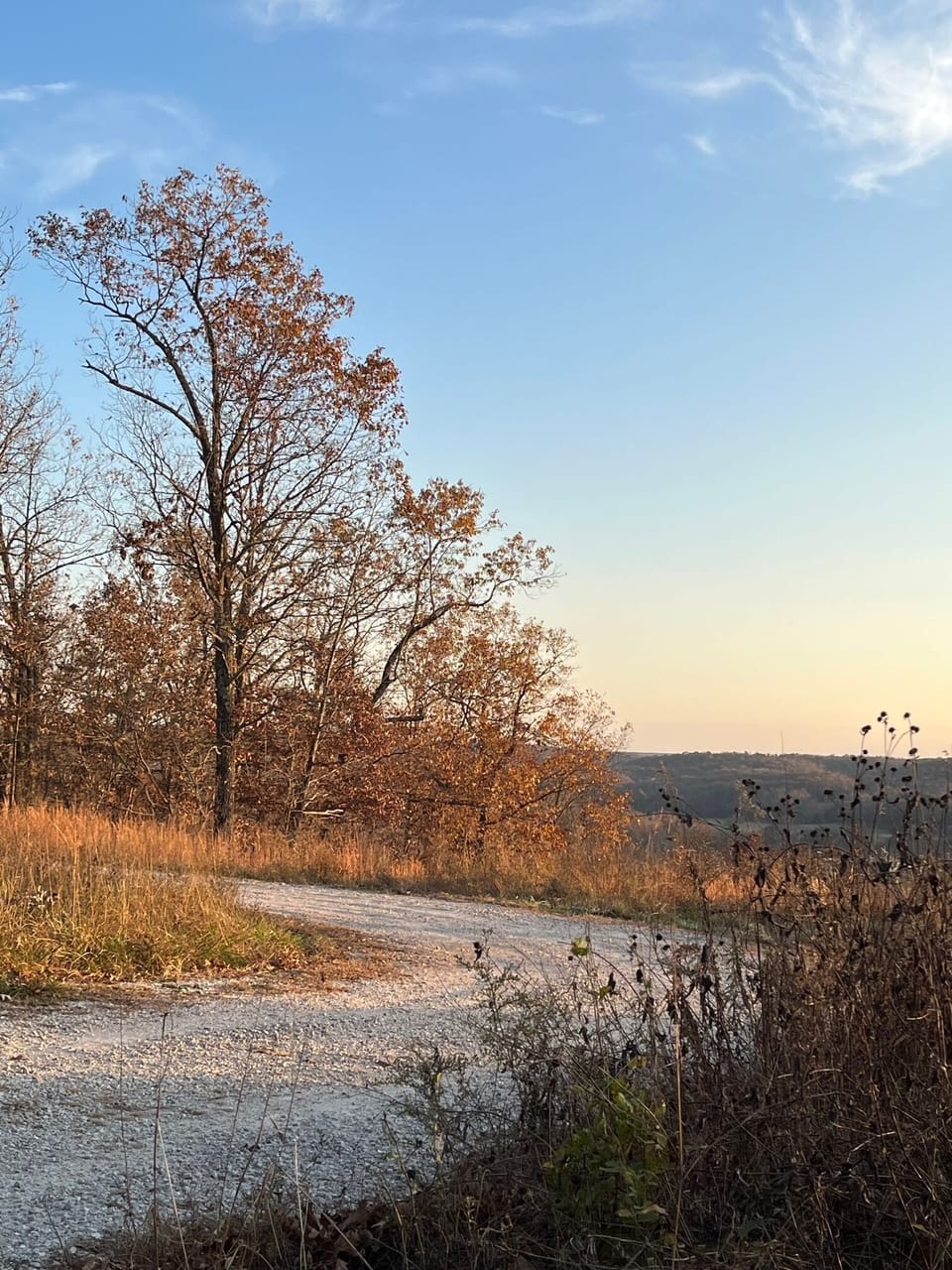Fall, at the valley overlook