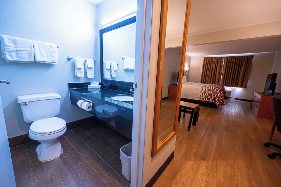 Suite, 1 King Bed (Smoke Free) | Bathroom | Combined shower/tub, eco-friendly toiletries, hair dryer, towels
