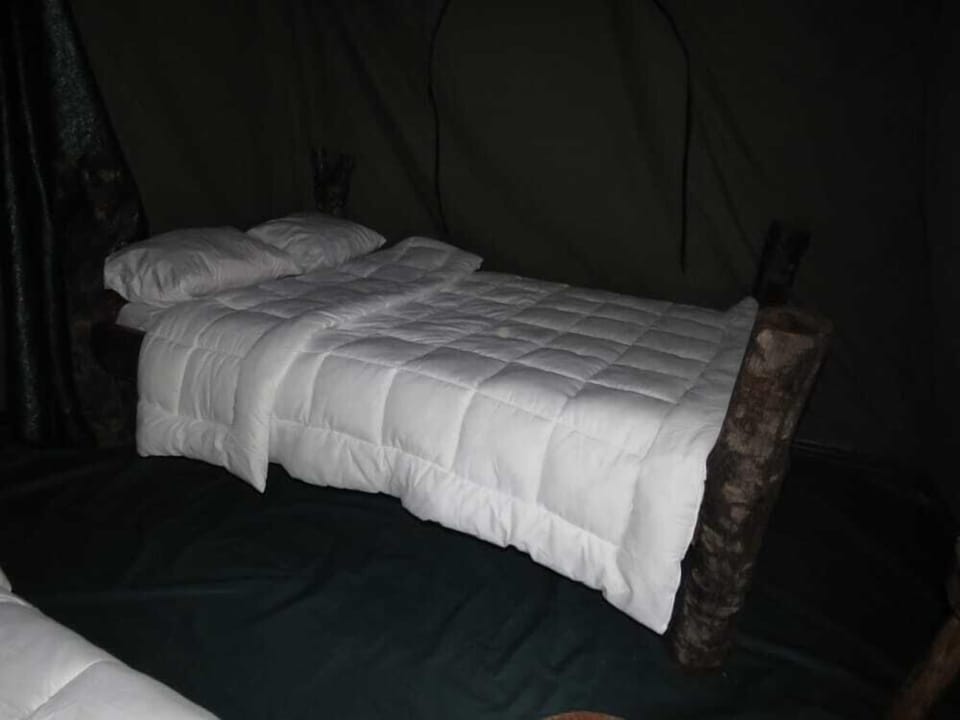 Twin Room | Pillowtop beds, desk