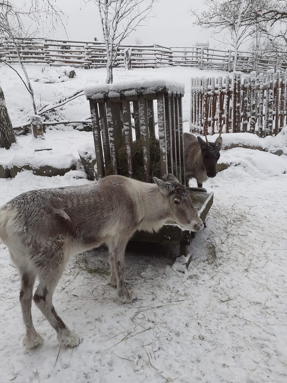 Skansen outdoor museum