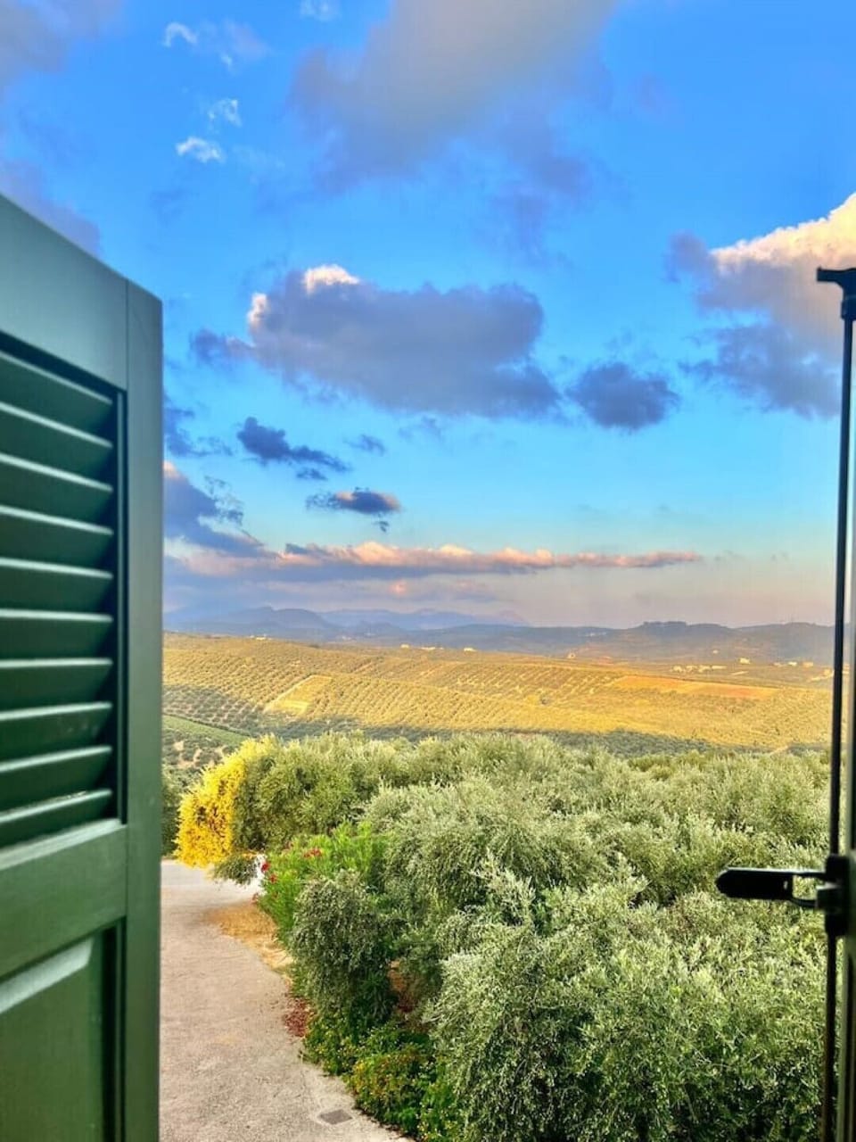 View from property