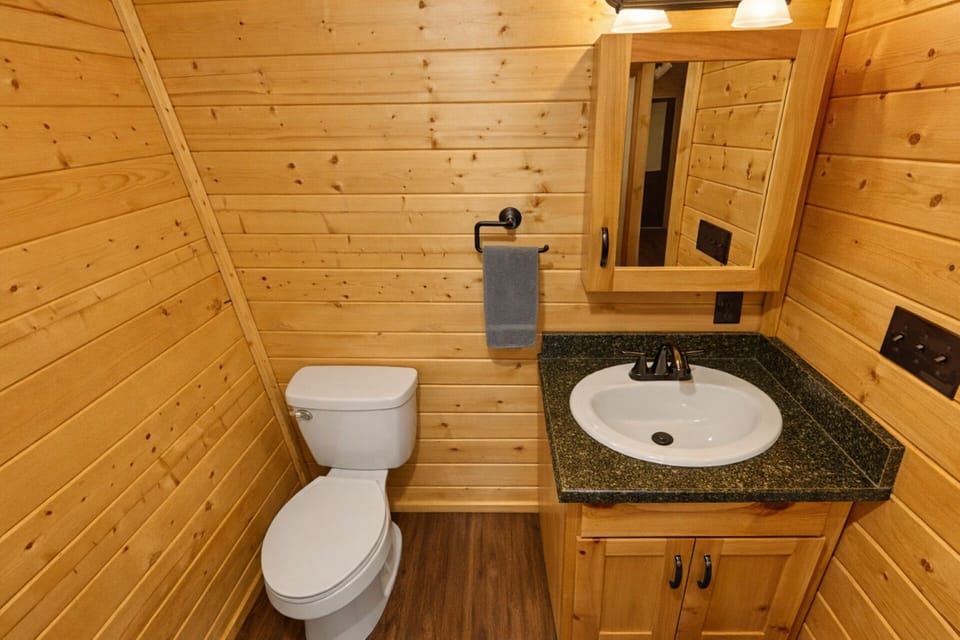 Cabin201120bathroom202