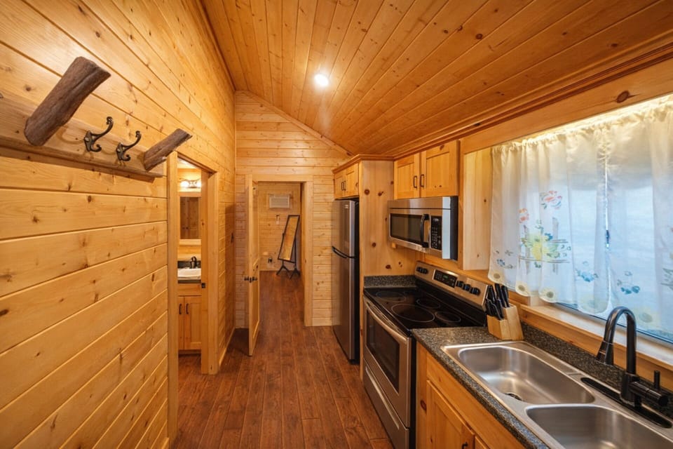 Cabin201120kitchen202