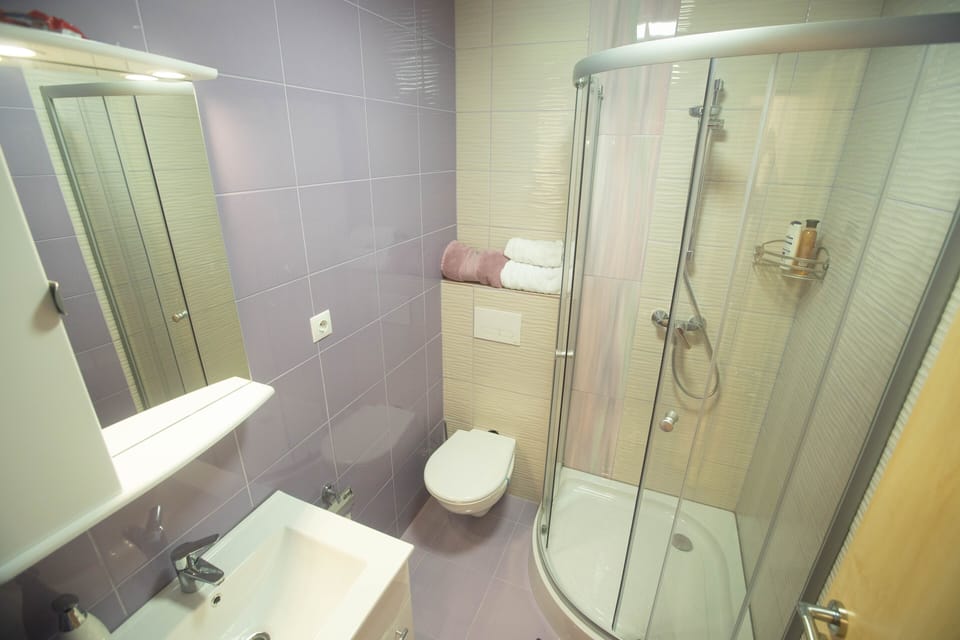 Classic Room | Bathroom | Shower, hair dryer, towels, soap