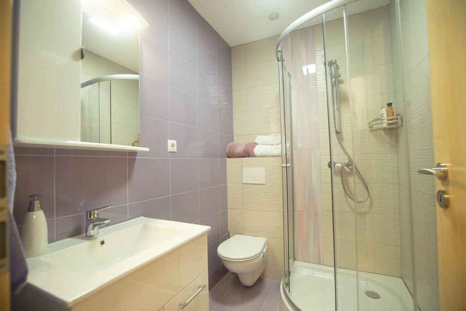 Classic Room | Bathroom | Shower, hair dryer, towels, soap