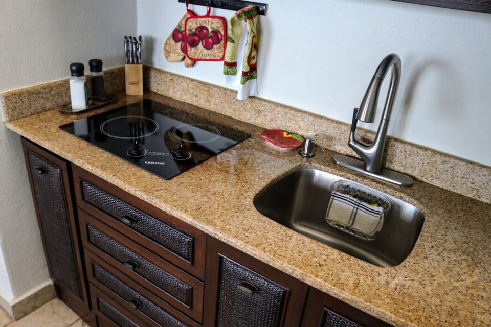 Glass Top Stove and Sink Area