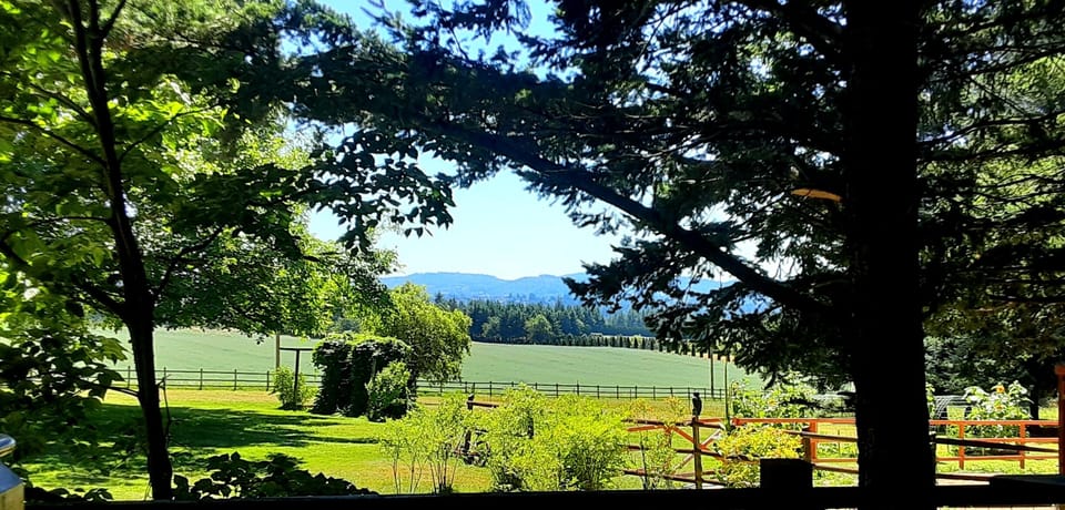 view from caboose deck