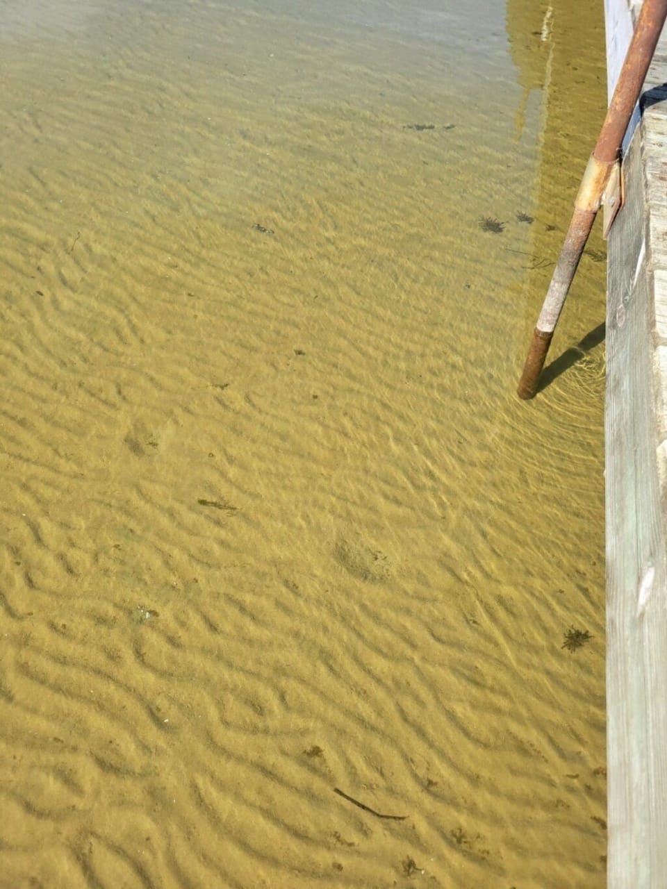 Very clear water with a all sand bottom.  