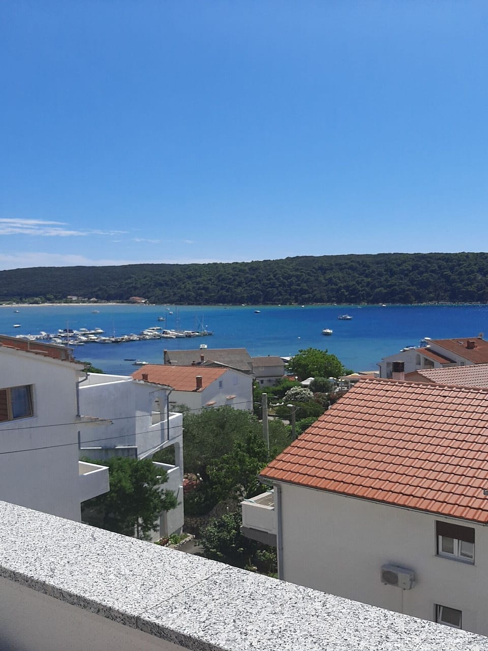 View