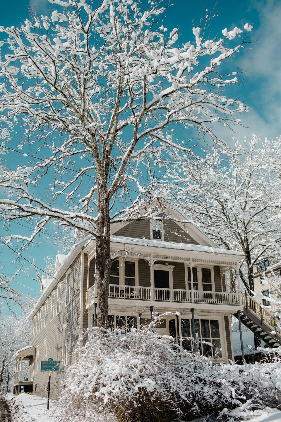 Facade of The Starling (Winter)