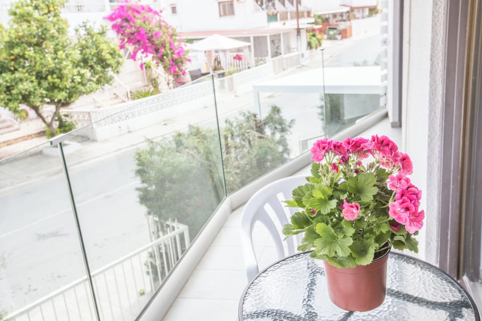 Apartment, 1 Bedroom, Balcony, City View | Terrace/patio