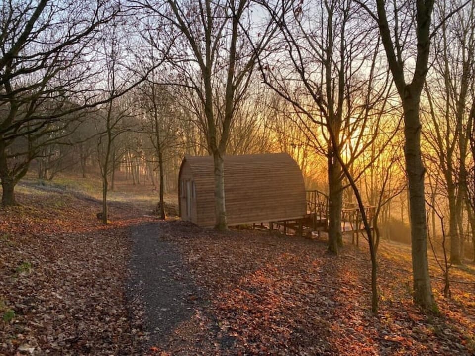 Cabin in the woods