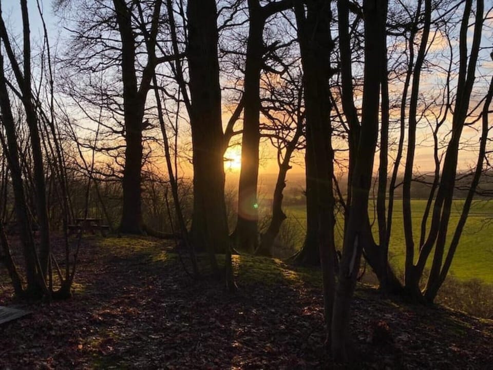 Around the Woods