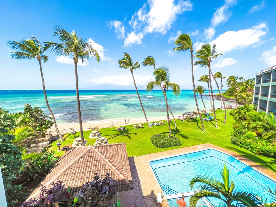 Pool and grounds just steps from the ocean - Pool and grounds just steps from the ocean