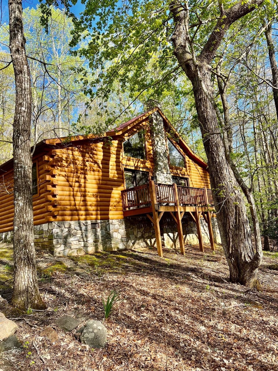 Springtime at Honey Bear Cabin