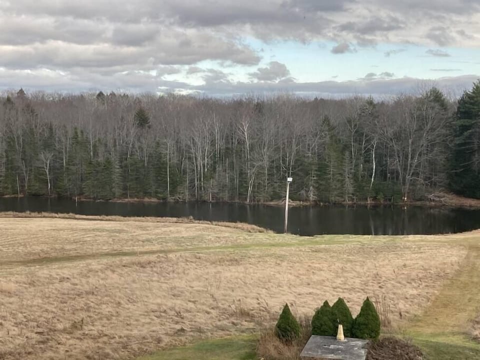 Large picture window overlooks this beautiful pond that attracts a lot of wildlife