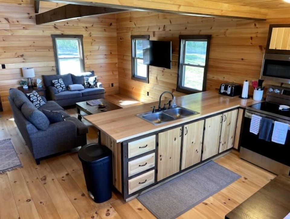 Kitchen island and living area