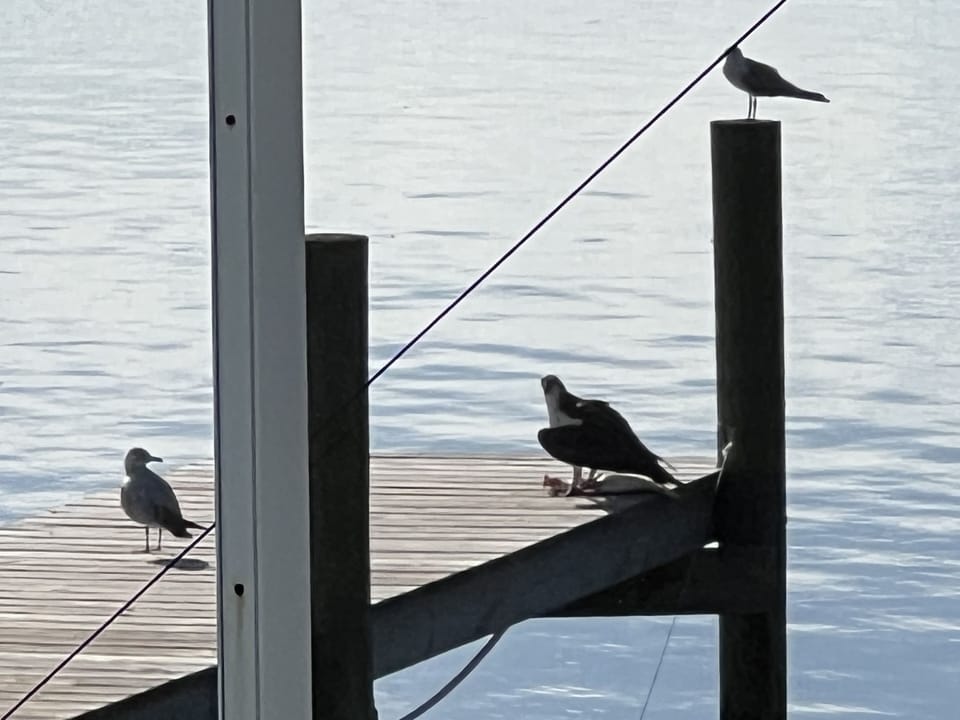 Fishing pier