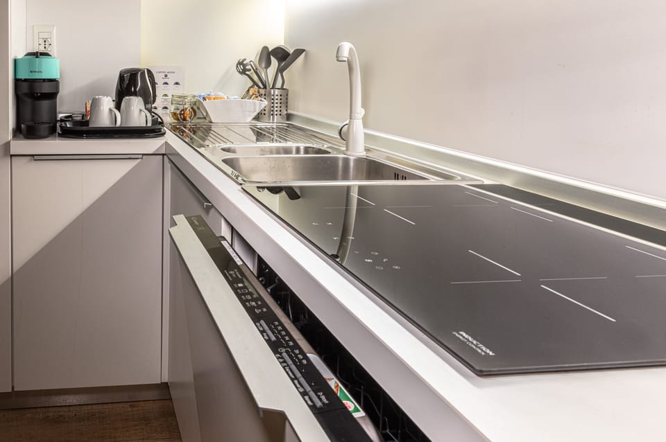 Superior Apartment, Kitchenette, City View | Private kitchen | Full-size fridge, oven, stovetop, dishwasher