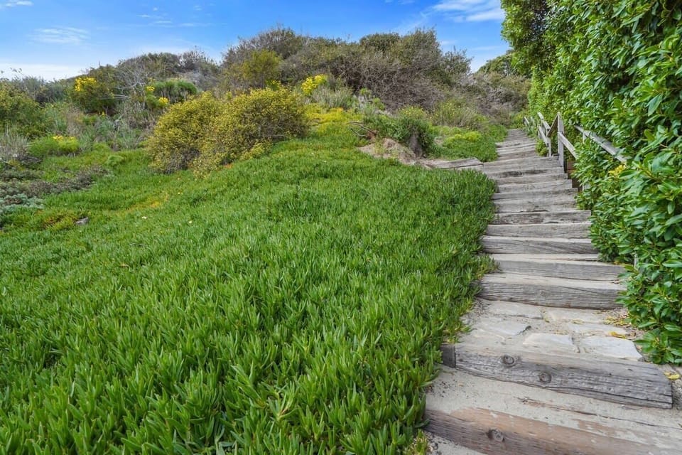 Lechuza Beach Stairs. We can recommend alternate access points for those who can walk as easily. 