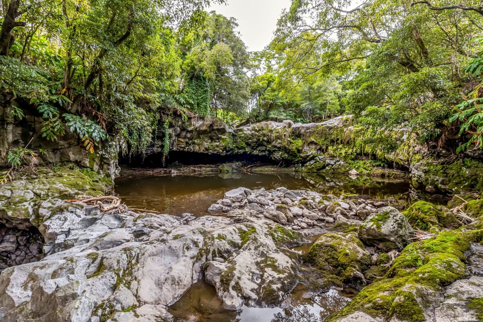 Miscellaneous