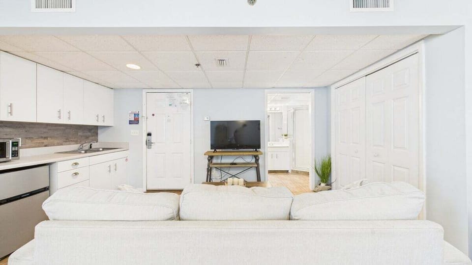Living area with sleeper sofa and TV