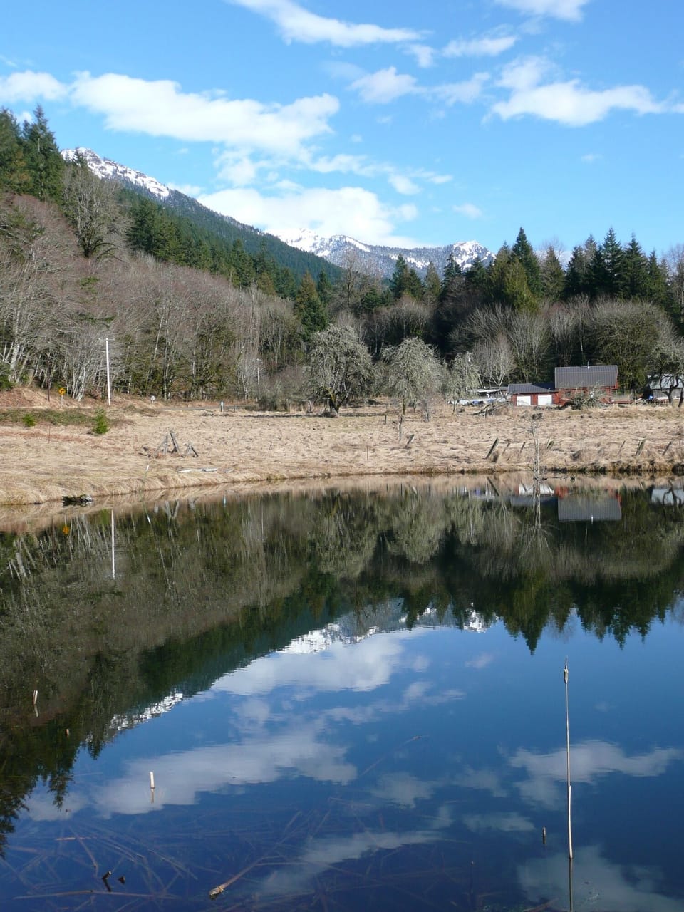 Pond